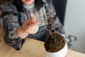 Consulenza per colleghi